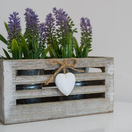 Travelershome 170 Station Street Bed & Breakfast Ciampino