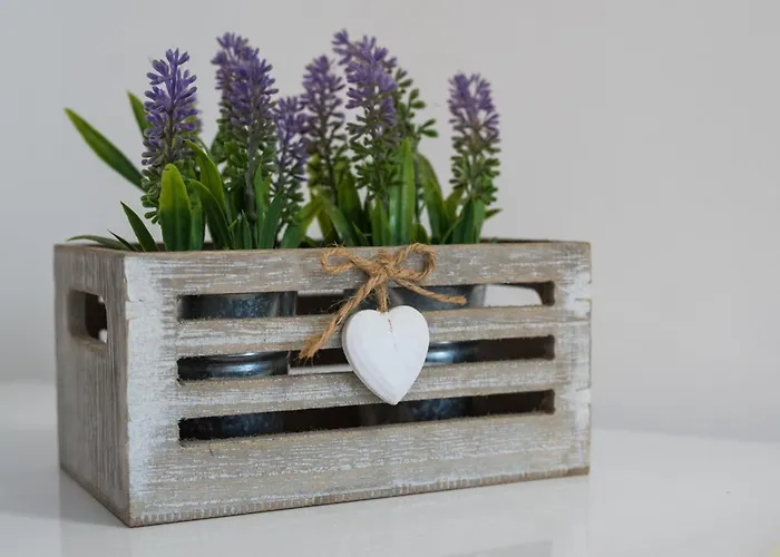 Travelershome 170 Station Street Bed and breakfast Ciampino